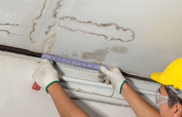 Affordable Water Damage Repair solutions in Morrice, MI